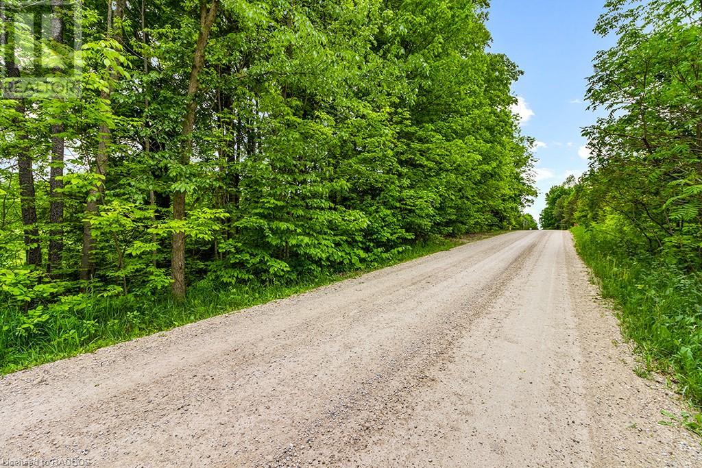 Pt Lot 16 Side Road 5, Chatsworth, Ontario  N0H 1G0 - Photo 8 - 40595918