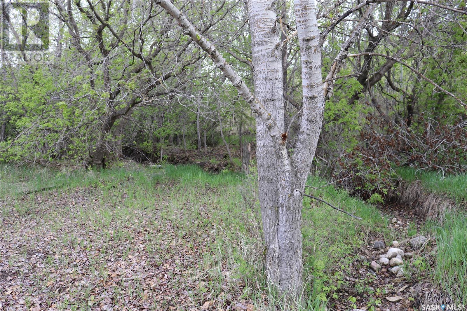 Carrobourg Acreage, St. Louis Rm No. 431, Saskatchewan  S0K 3Y0 - Photo 33 - SK970608