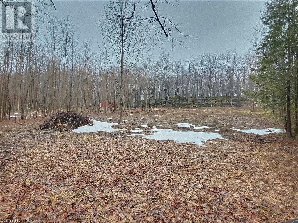 Pt Lt 25 Concession Rd 24, Georgian Bluffs, Ontario  N0H 2T0 - Photo 3 - 40595328