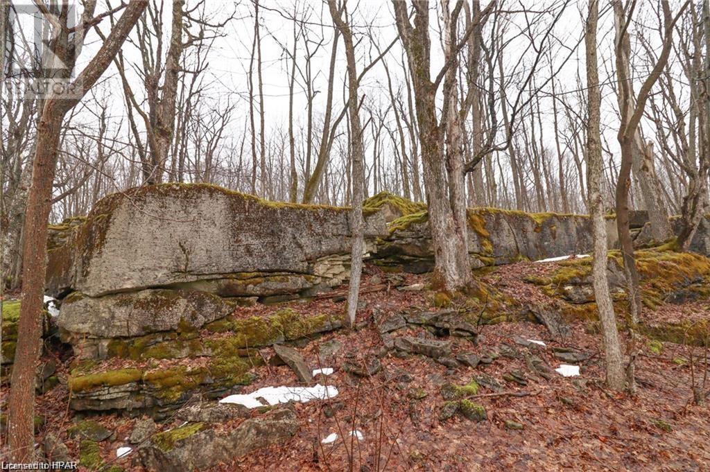 Pt Lt 25 Concession Rd 24, Georgian Bluffs, Ontario  N0H 2T0 - Photo 4 - 40595328
