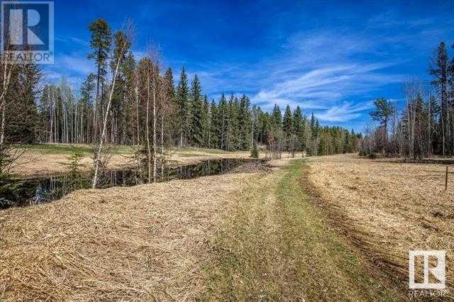 Lot #1, 465011 Rge Rd 64, Buck Lake, Alberta  T0C 0T0 - Photo 23 - A2135566