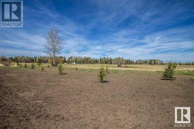 Lot #14, 465011 Rge Rd 64, Buck Lake, Alberta  T0C 0T0 - Photo 11 - A2135758