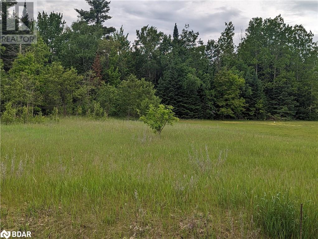 8 Tioga Boulevard, Adjala-Tosorontio, Ontario  L0M 1J0 - Photo 10 - 40594435
