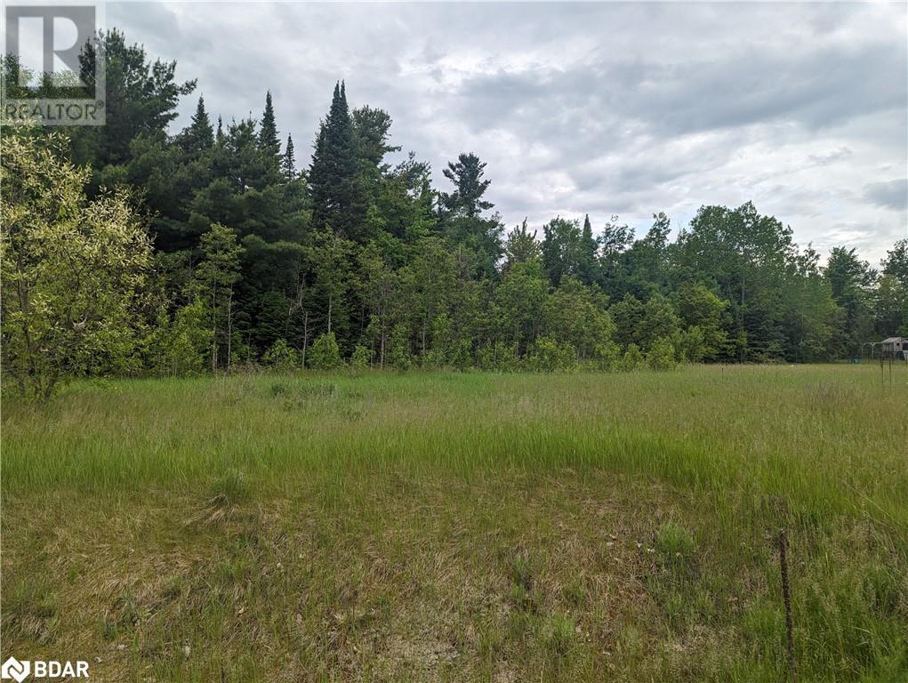 8 Tioga Boulevard, Adjala-Tosorontio, Ontario  L0M 1J0 - Photo 4 - 40594435