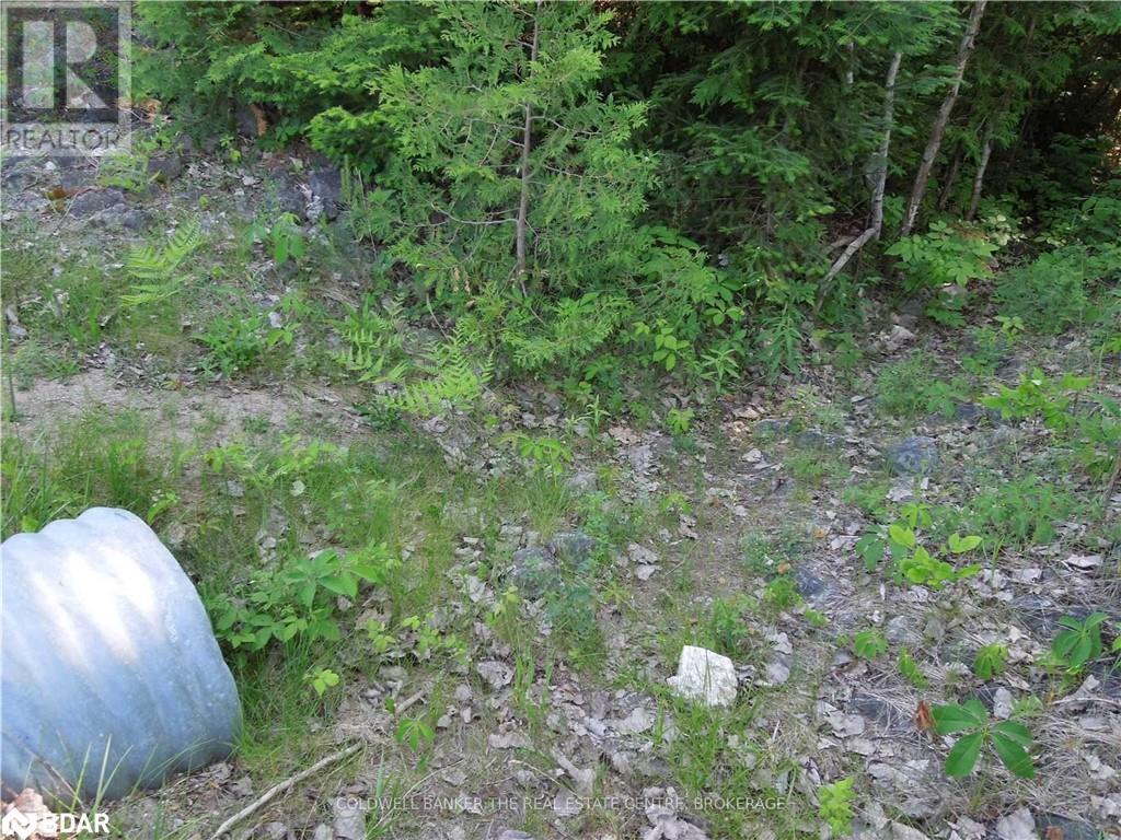 8 Tioga Boulevard, Adjala-Tosorontio, Ontario  L0M 1J0 - Photo 6 - 40594435