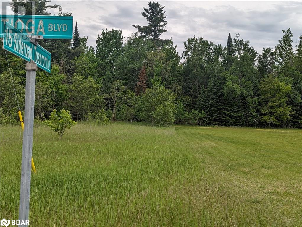 8 Tioga Boulevard, Adjala-Tosorontio, Ontario  L0M 1J0 - Photo 8 - 40594435