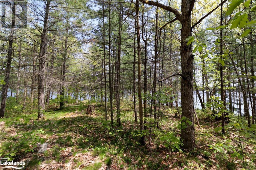 0 Severn River, Georgian Bay, Ontario  L0K 1E0 - Photo 12 - 40596269