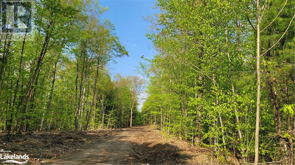 Lot1 Seguin River Estates Louisa Street, Parry Sound, Ontario  P2A 3C1 - Photo 15 - 40596263