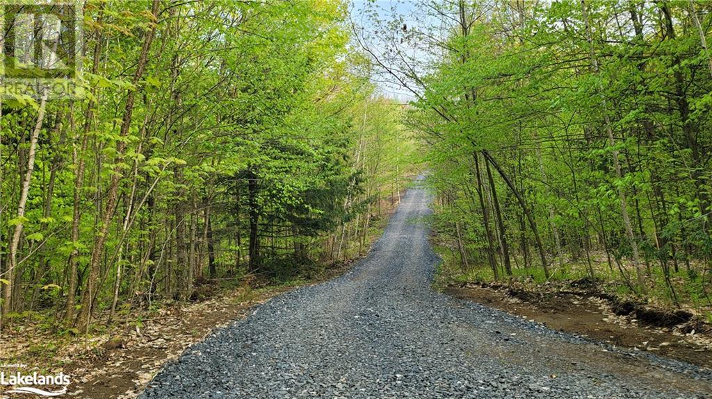 Lot1 Seguin River Estates Louisa Street, Parry Sound, Ontario  P2A 3C1 - Photo 16 - 40596263