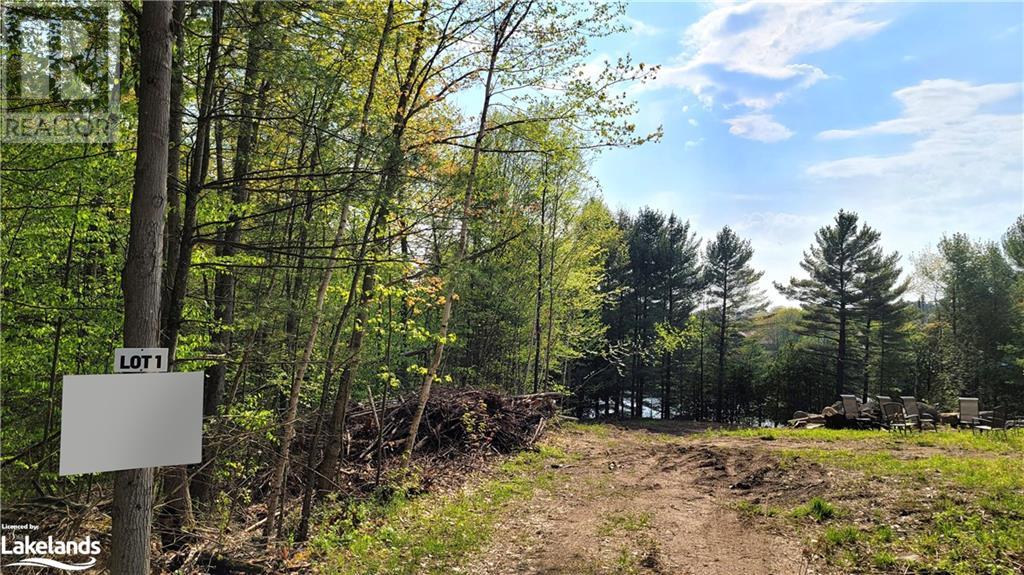 Lot1 Seguin River Estates Louisa Street, Parry Sound, Ontario  P2A 3C1 - Photo 3 - 40596263