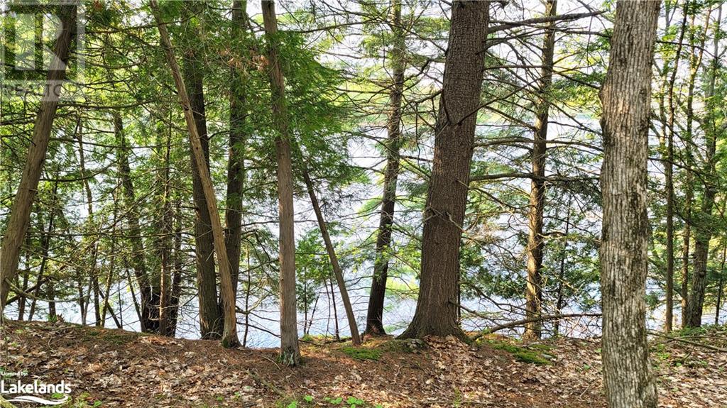 Lot2 Seguin River Estates Louisa Street, Parry Sound, Ontario  P2A 3C1 - Photo 5 - 40596262