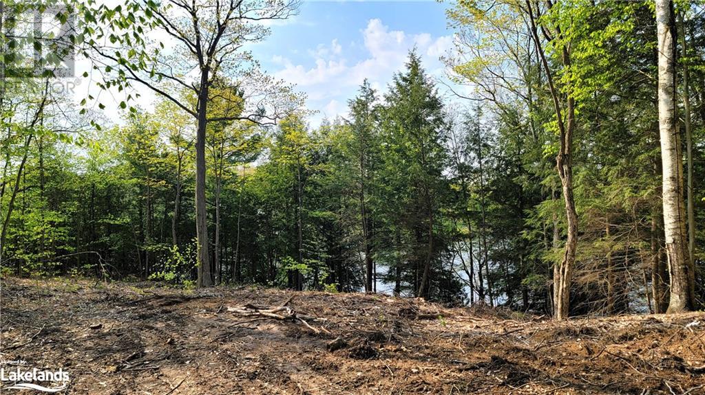 Lot2 Seguin River Estates Louisa Street, Parry Sound, Ontario  P2A 3C1 - Photo 6 - 40596262