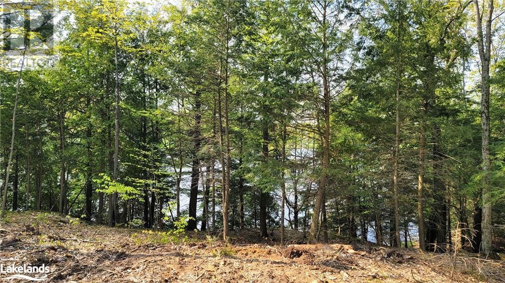 Lot2 Seguin River Estates Louisa Street, Parry Sound, Ontario  P2A 3C1 - Photo 7 - 40596262