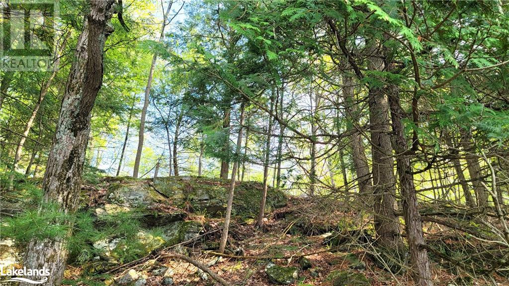 Lot3 Seguin River Estates Louisa Street, Parry Sound, Ontario  P2A 3C1 - Photo 10 - 40596261