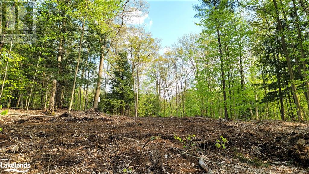 Lot3 Seguin River Estates Louisa Street, Parry Sound, Ontario  P2A 3C1 - Photo 11 - 40596261