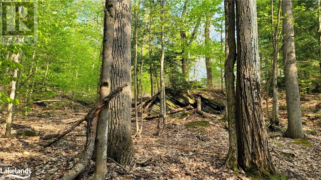 Lot3 Seguin River Estates Louisa Street, Parry Sound, Ontario  P2A 3C1 - Photo 12 - 40596261