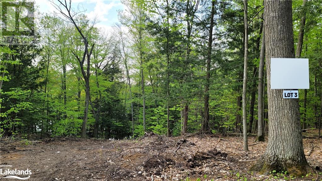 Lot3 Seguin River Estates Louisa Street, Parry Sound, Ontario  P2A 3C1 - Photo 3 - 40596261