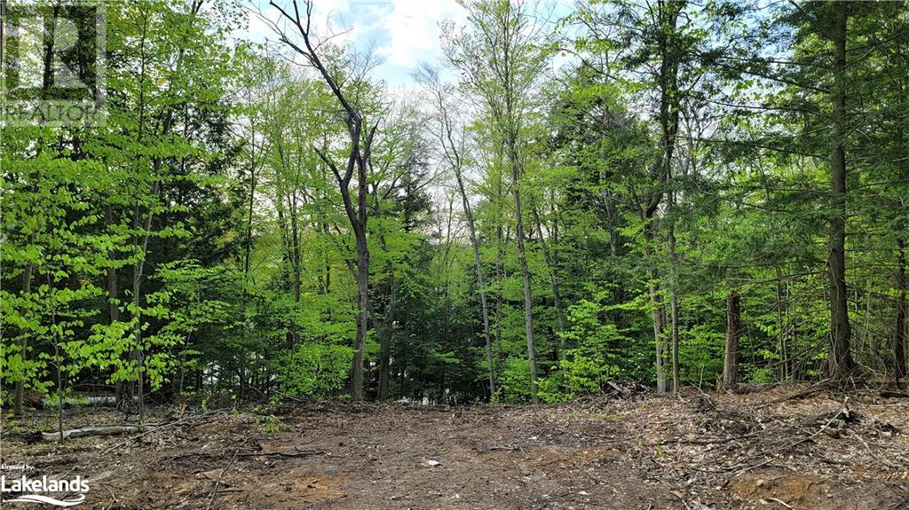 Lot3 Seguin River Estates Louisa Street, Parry Sound, Ontario  P2A 3C1 - Photo 5 - 40596261