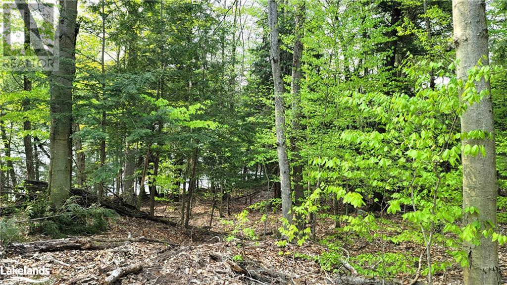 Lot3 Seguin River Estates Louisa Street, Parry Sound, Ontario  P2A 3C1 - Photo 6 - 40596261