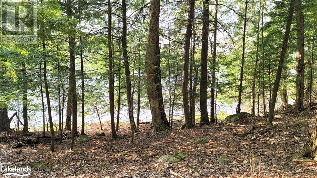 Lot3 Seguin River Estates Louisa Street, Parry Sound, Ontario  P2A 3C1 - Photo 7 - 40596261