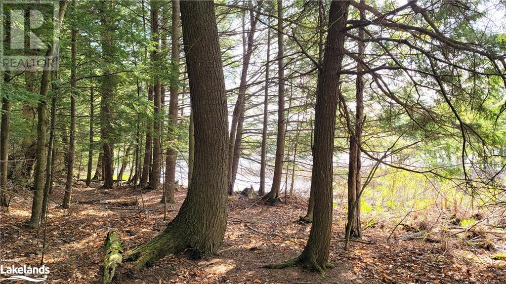 Lot3 Seguin River Estates Louisa Street, Parry Sound, Ontario  P2A 3C1 - Photo 8 - 40596261