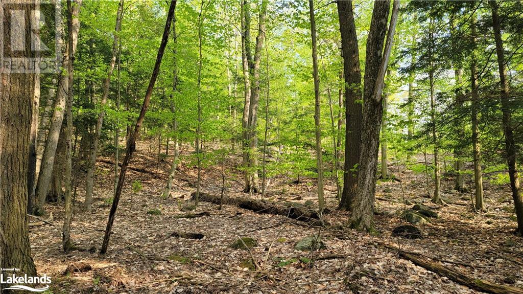 Lot3 Seguin River Estates Louisa Street, Parry Sound, Ontario  P2A 3C1 - Photo 9 - 40596261