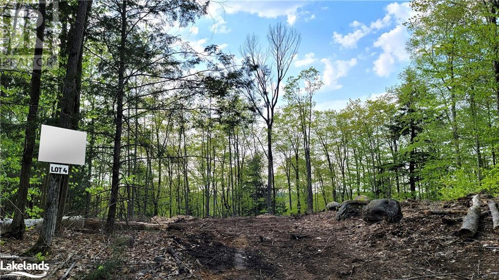 Lot4 Seguin River Estates Louisa Street, Parry Sound, Ontario  P2A 3C1 - Photo 3 - 40595793