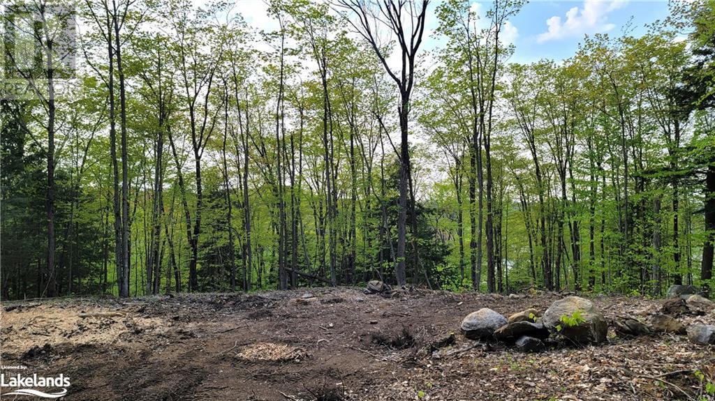 Lot4 Seguin River Estates Louisa Street, Parry Sound, Ontario  P2A 3C1 - Photo 4 - 40595793