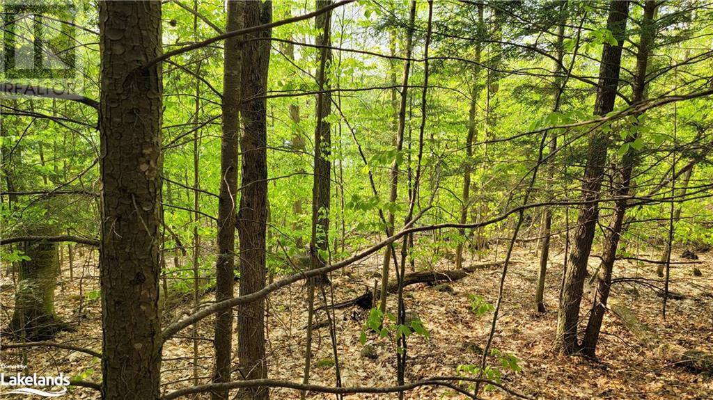 Lot4 Seguin River Estates Louisa Street, Parry Sound, Ontario  P2A 3C1 - Photo 8 - 40595793