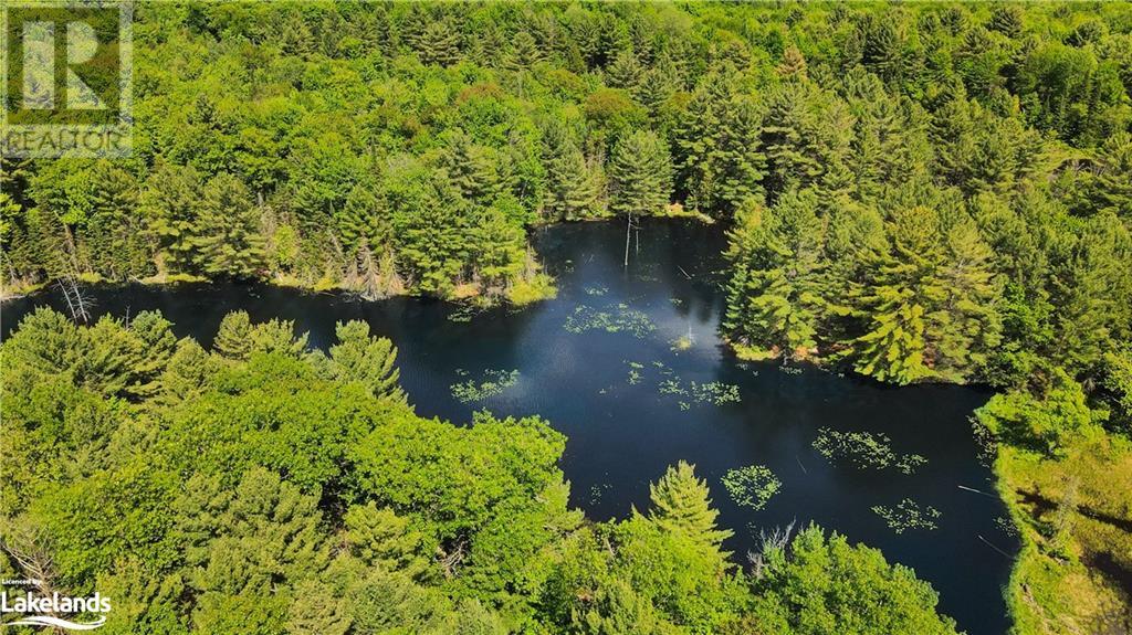 0 Bobcaygeon Road, Minden, Ontario K0M 2K0 (26952276) Bay