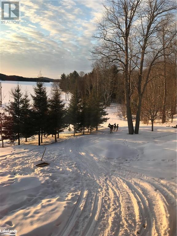 1190 Nipissing Road S, Magnetawan, Ontario  P0A 1P0 - Photo 30 - 40588716