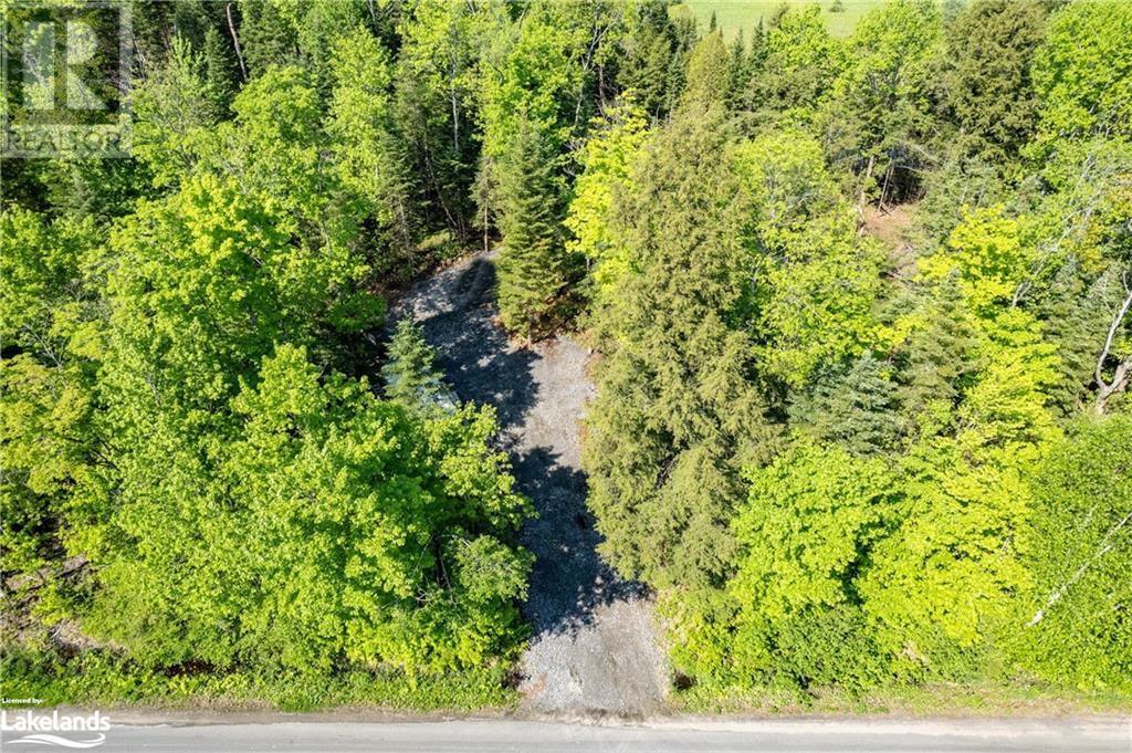 1260 Purbrook Road, Bracebridge, Ontario  P1L 1X3 - Photo 15 - 40595634