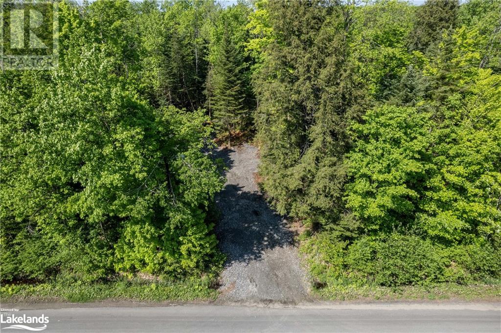 1260 Purbrook Road, Bracebridge, Ontario  P1L 1X3 - Photo 16 - 40595634