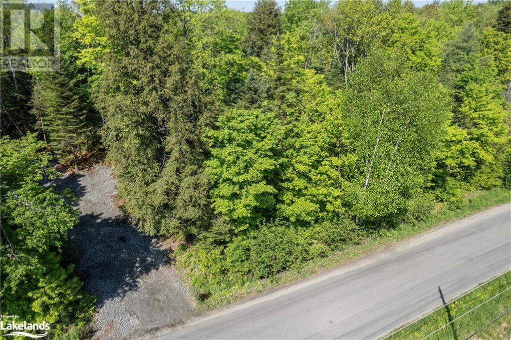 1260 Purbrook Road, Bracebridge, Ontario  P1L 1X3 - Photo 18 - 40595634