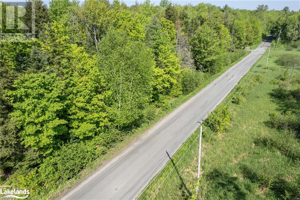1260 Purbrook Road, Bracebridge, Ontario  P1L 1X3 - Photo 19 - 40595634