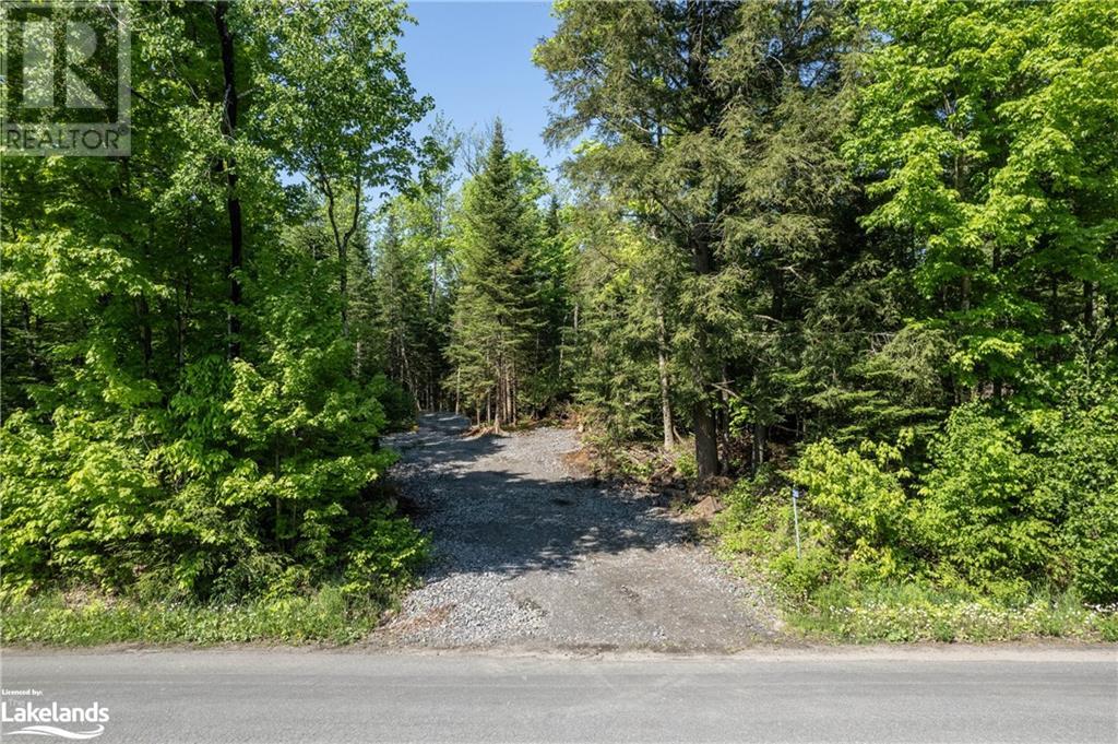 1260 Purbrook Road, Bracebridge, Ontario  P1L 1X3 - Photo 2 - 40595634