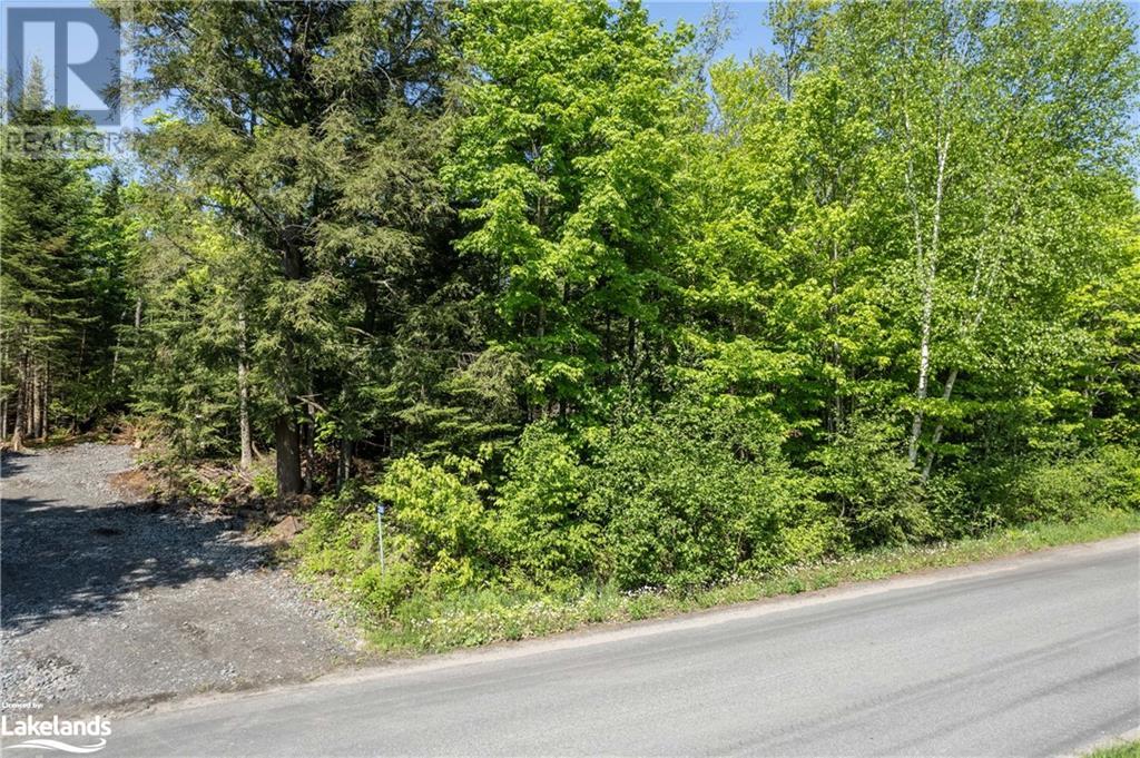 1260 Purbrook Road, Bracebridge, Ontario  P1L 1X3 - Photo 22 - 40595634