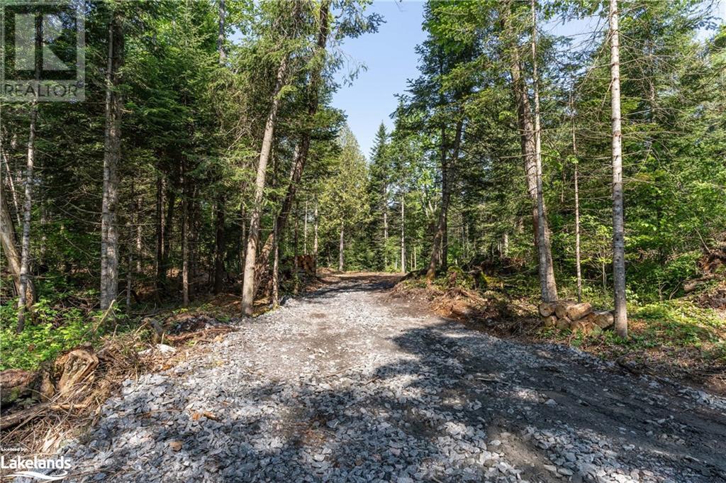 1260 Purbrook Road, Bracebridge, Ontario  P1L 1X3 - Photo 30 - 40595634