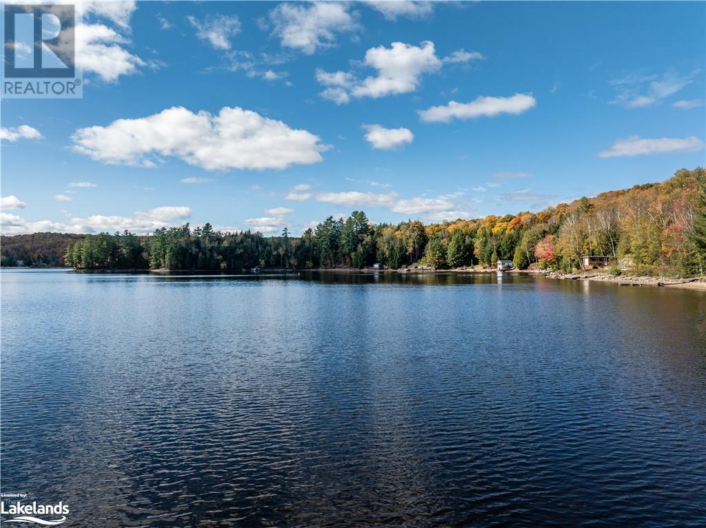 1226 Dignan Road, Haliburton, Ontario  K0M 1S0 - Photo 41 - 40596212