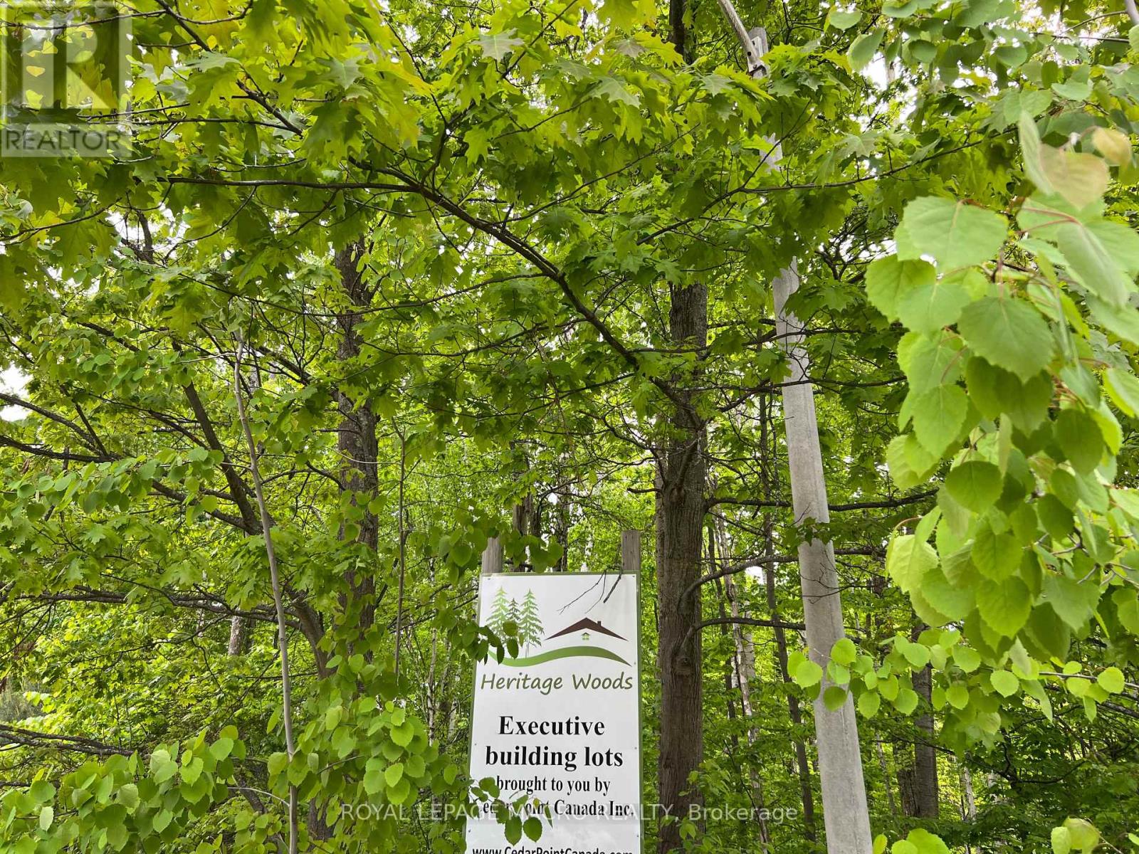 Lot F20 Nippissing Ridge Road, Tiny, Ontario  L9M 0H6 - Photo 3 - S8322676