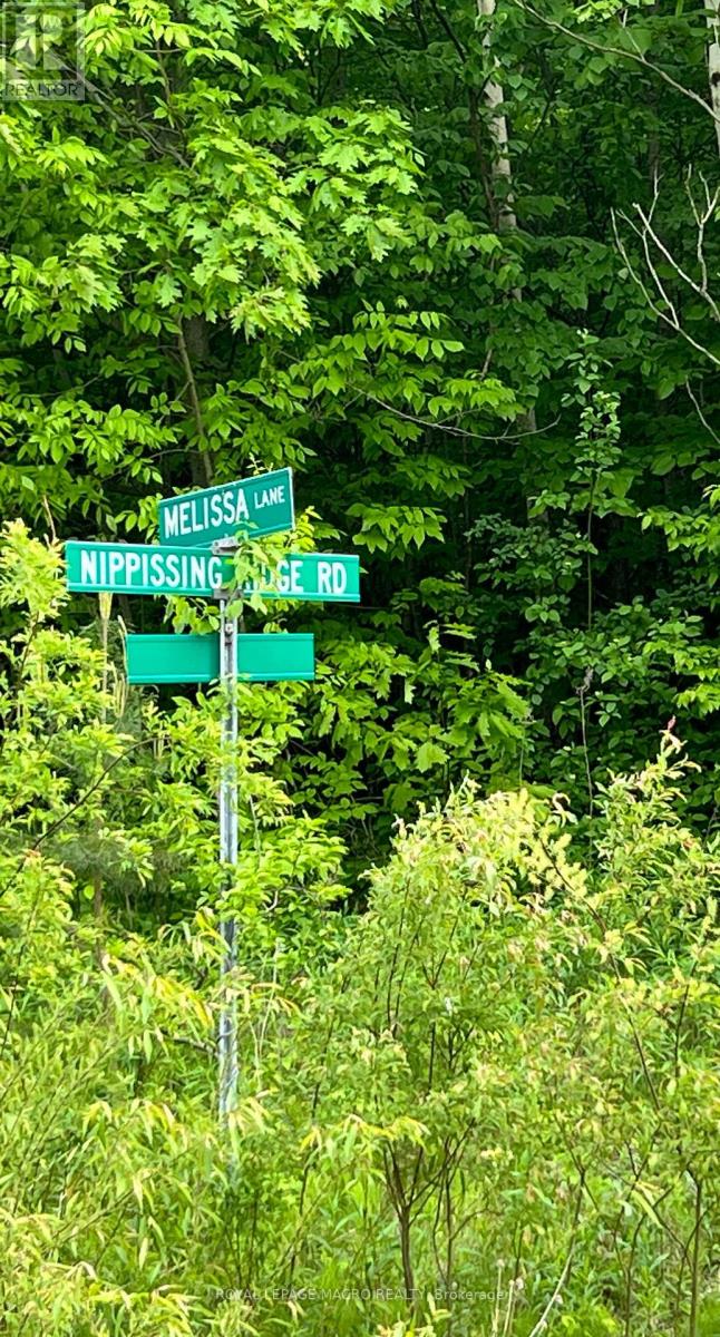 Lot F20 Nippissing Ridge Road, Tiny, Ontario  L9M 0H6 - Photo 5 - S8322676