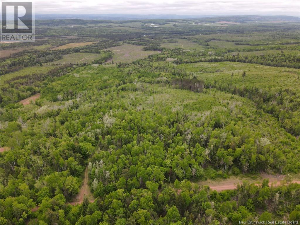 Lot Cemetery Road, Whites Mountain, New Brunswick  E4G 2M4 - Photo 17 - NB101010