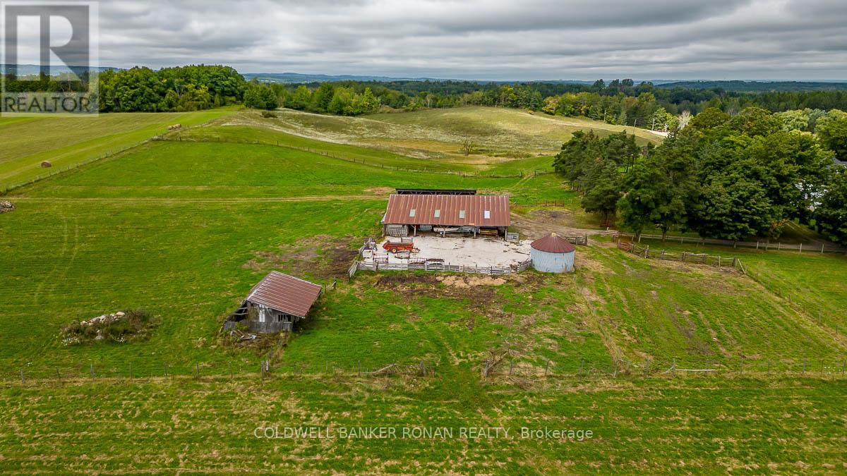 1918 Concession Rd 2, Adjala-Tosorontio, Ontario  L0N 1P0 - Photo 38 - N8379188