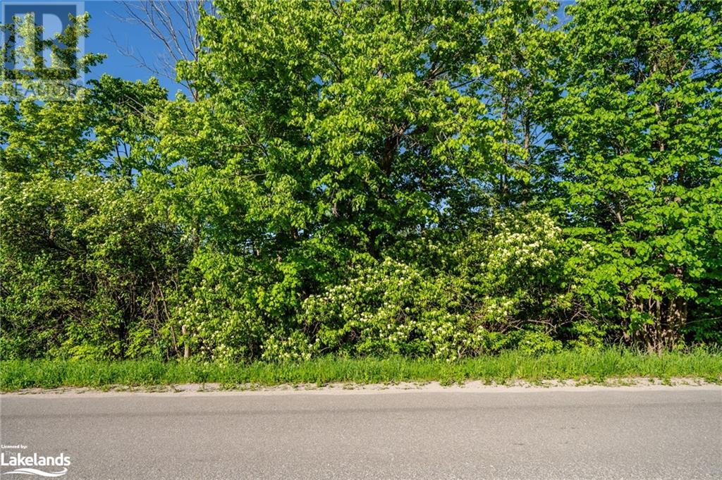 1951 Newton Street, Victoria Harbour, Ontario  L0K 2A0 - Photo 8 - 40595934