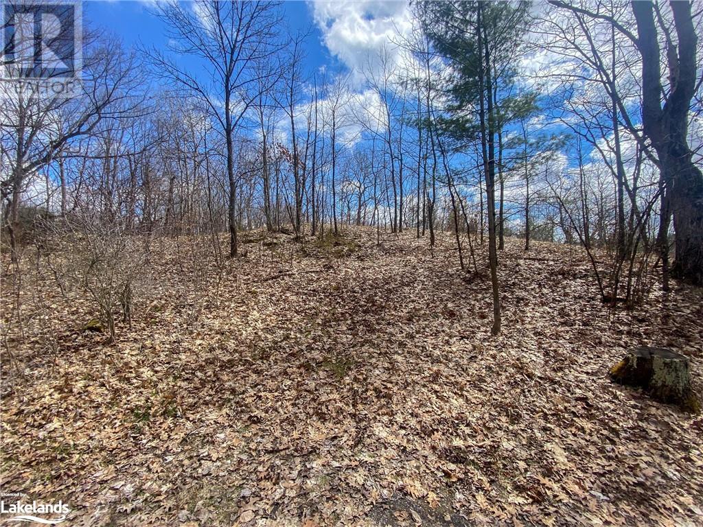 1669 Highway 118 W Unit# 13, Bracebridge, Ontario  P1L 1W8 - Photo 32 - 40593734