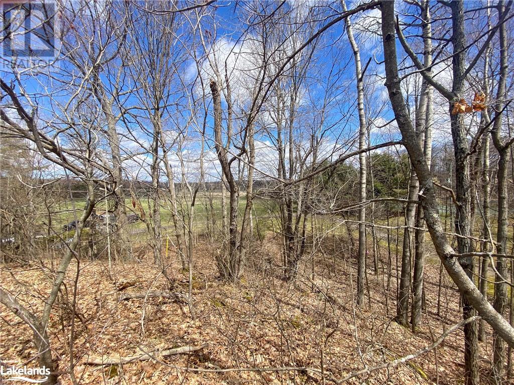 1669 Highway 118 W Unit# 13, Bracebridge, Ontario  P1L 1W8 - Photo 28 - 40593734