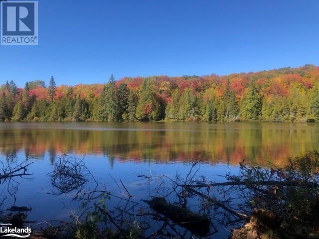 0 Trillium Trail, Haliburton, Ontario  K0M 1S0 - Photo 3 - 40584001