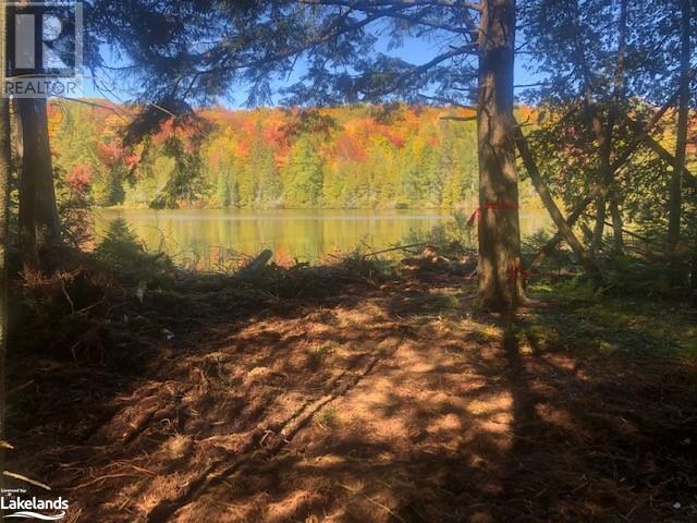 0 Trillium Trail, Haliburton, Ontario  K0M 1S0 - Photo 2 - 40584001