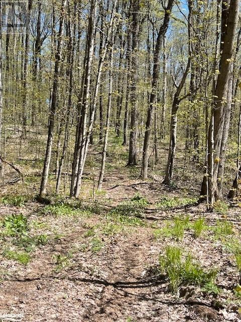 0 Trillium Trail, Haliburton, Ontario  K0M 1S0 - Photo 10 - 40584001