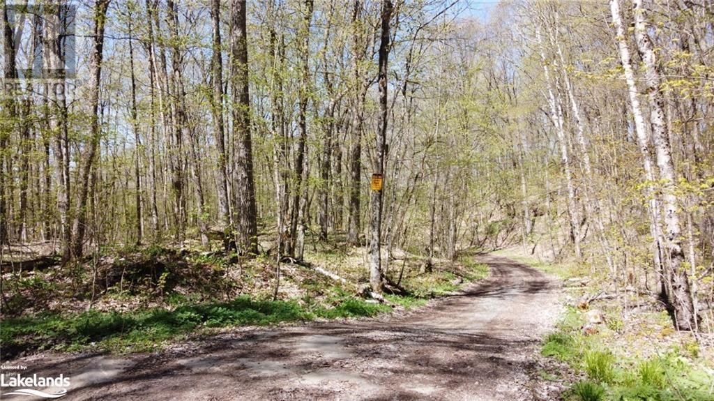 0 Trillium Trail, Haliburton, Ontario  K0M 1S0 - Photo 8 - 40584001